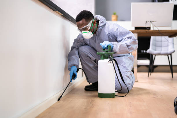 Best Pest Prevention Services  in USA